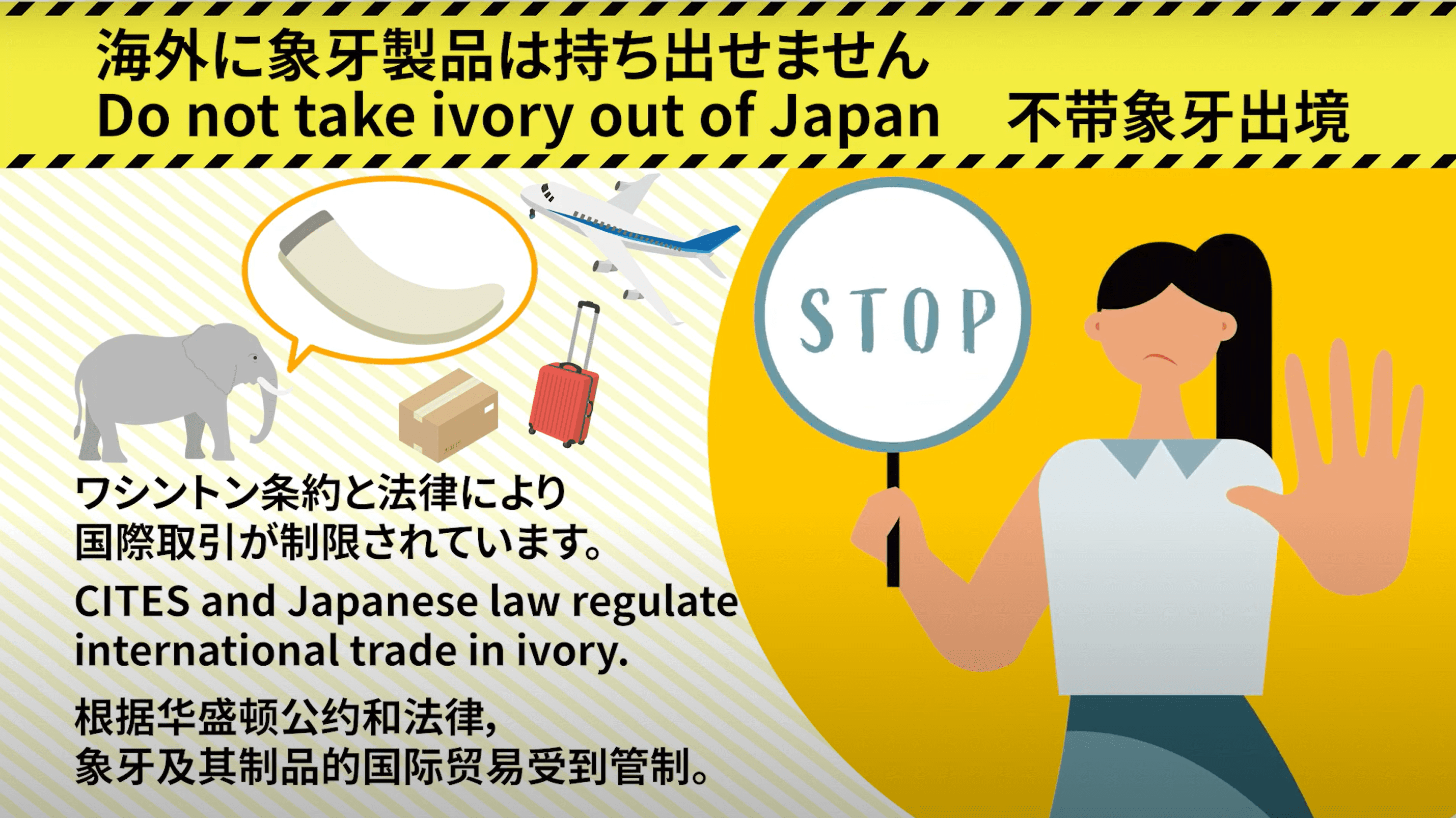 画像：象牙取引規制に関する有識者会議