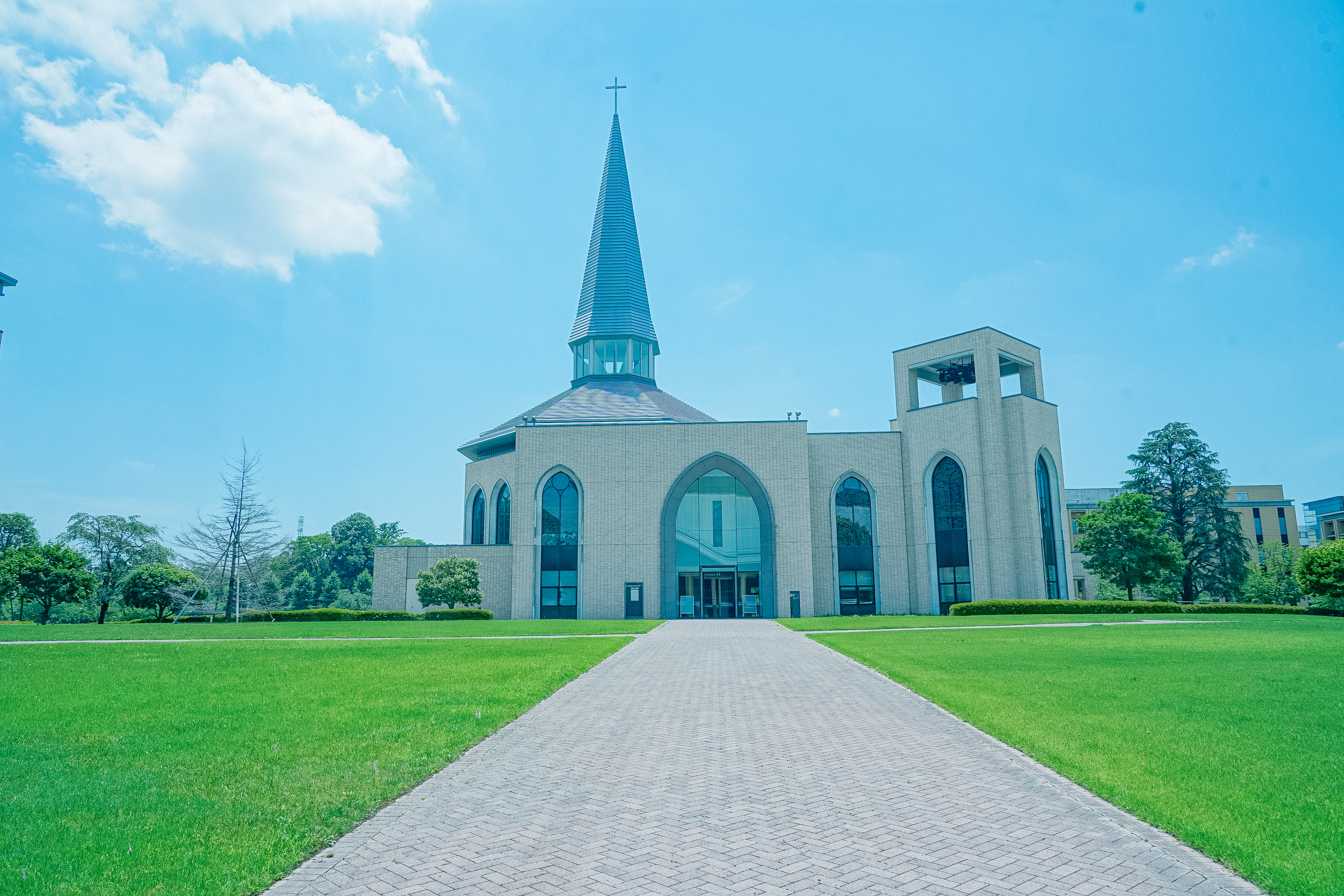 画像：全キャンパスの使用電力を再エネ化しエコキャンパスを推進します（青山・相模原）