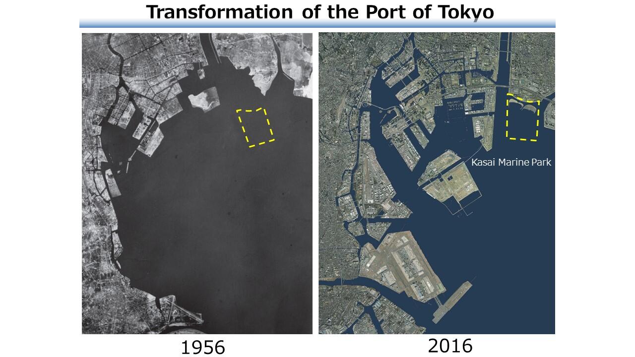 TMCブリーフィングスライド：東京都初！ラムサール条約湿地 葛西海浜公園(3)