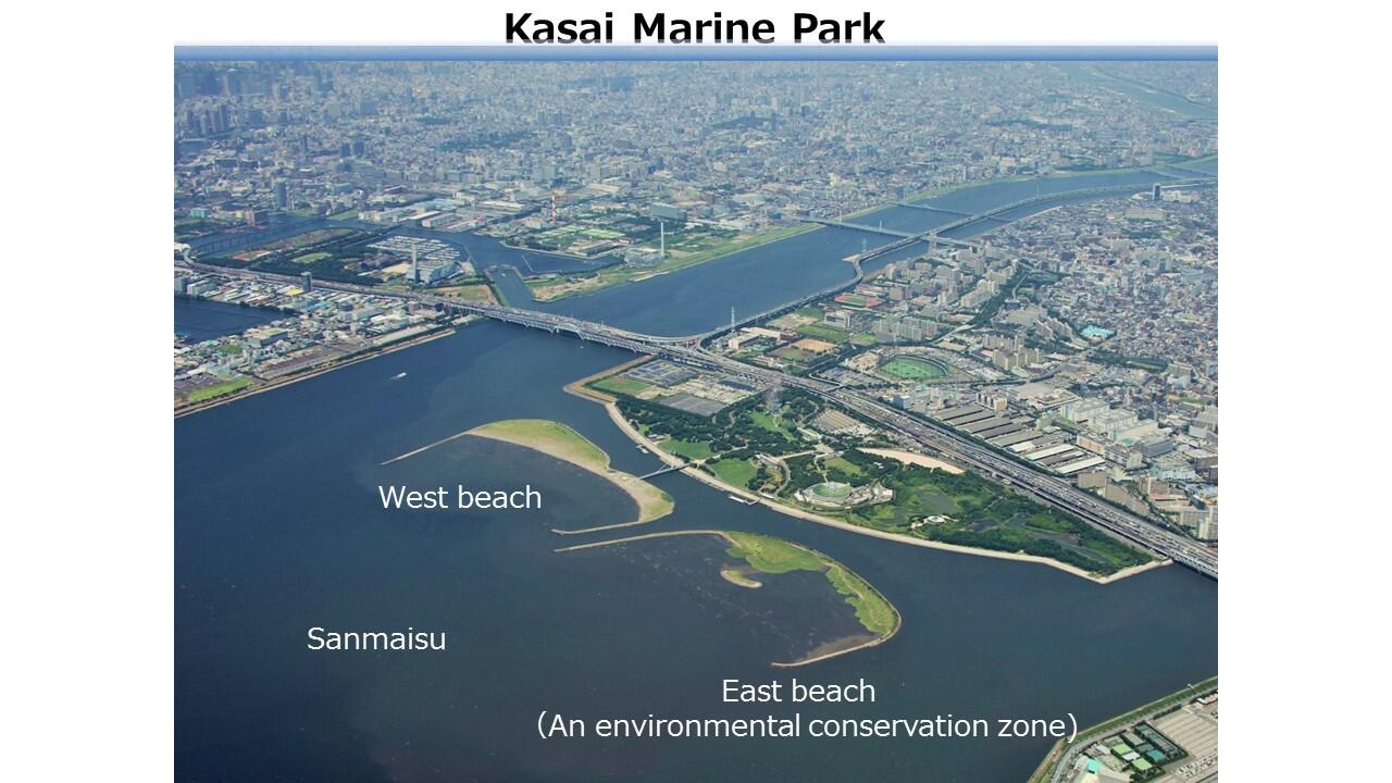 TMCブリーフィングスライド：東京都初！ラムサール条約湿地 葛西海浜公園(5)