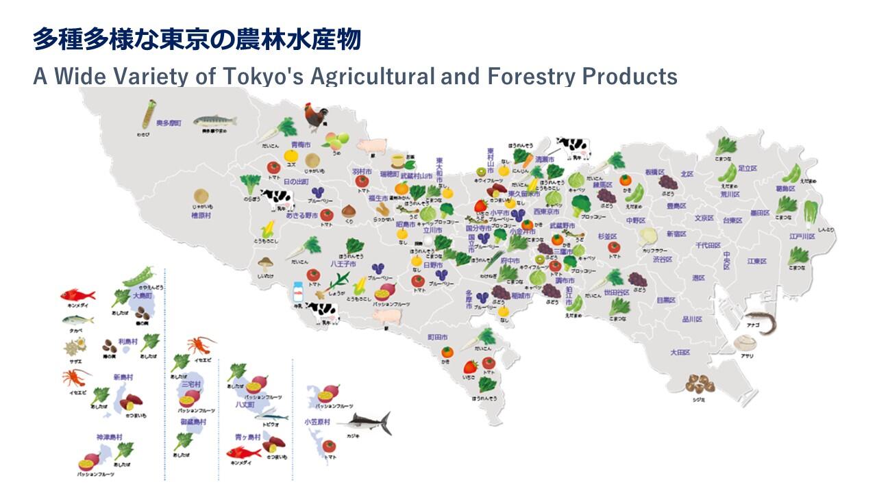 TMCブリーフィングスライド：東京の食材・木材等の魅力(2)