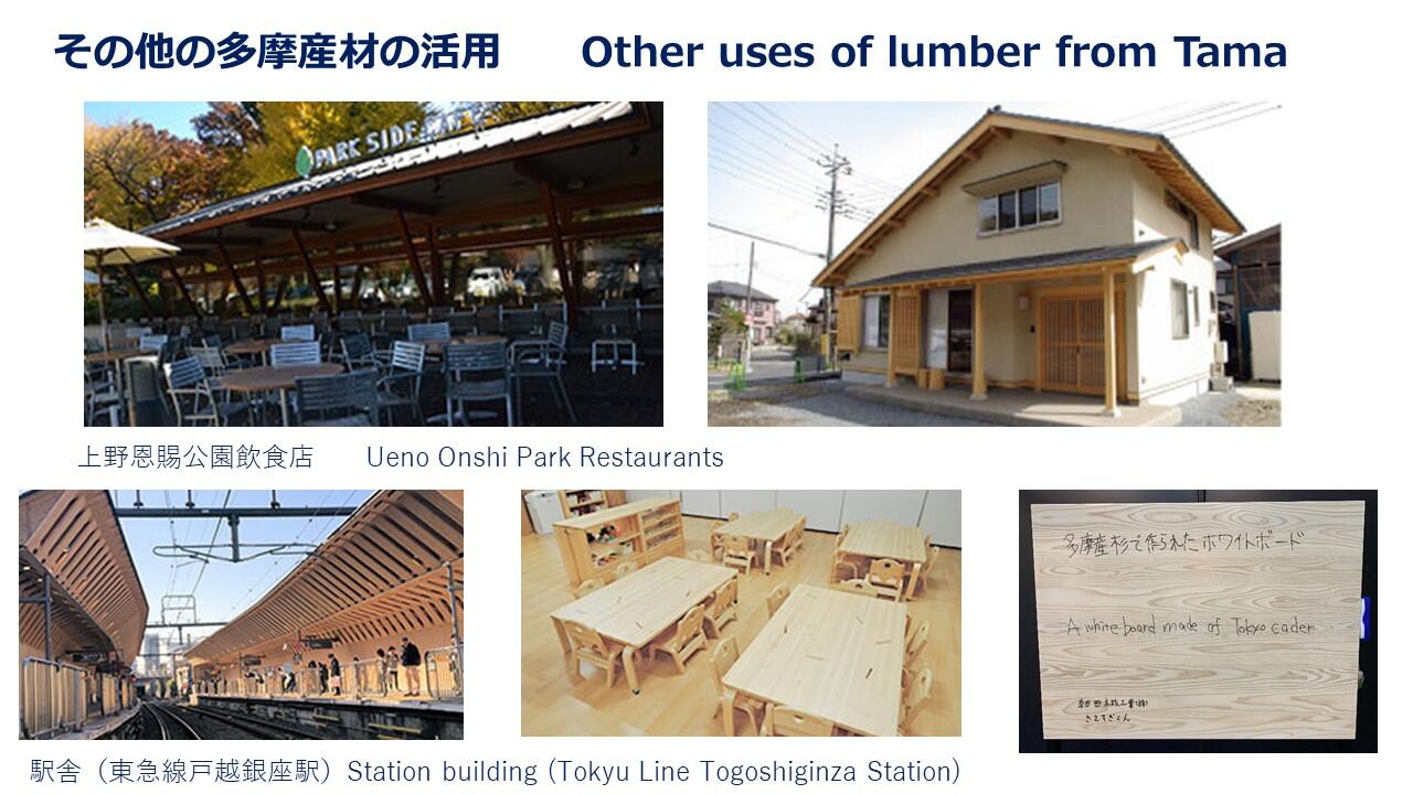 TMCブリーフィングスライド：東京の食材・木材等の魅力(9)