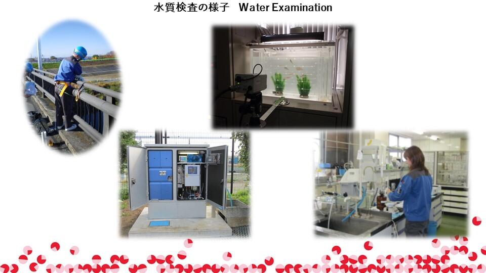 TMCブリーフィングスライド：安全でおいしい東京の水道水(5)