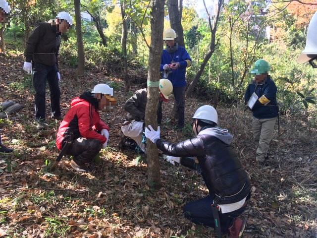 画像：平成２９年度NBC災害総合訓練