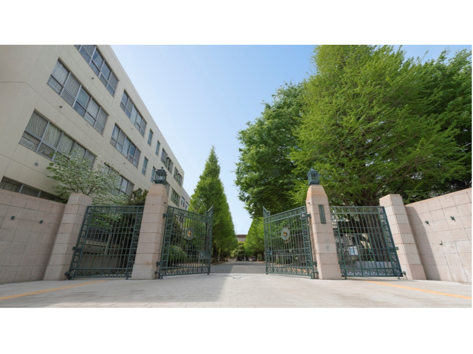 画像：女性たちの活躍を未来へ