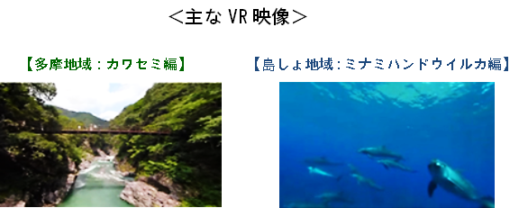 主なVR映像（多摩地域　カワセミ編、島しょ地域　ミナミハンドウイルカ編）