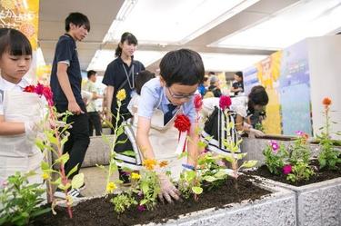 8.18道で咲かせよう東北の花プロジェクトでの定植の様子 