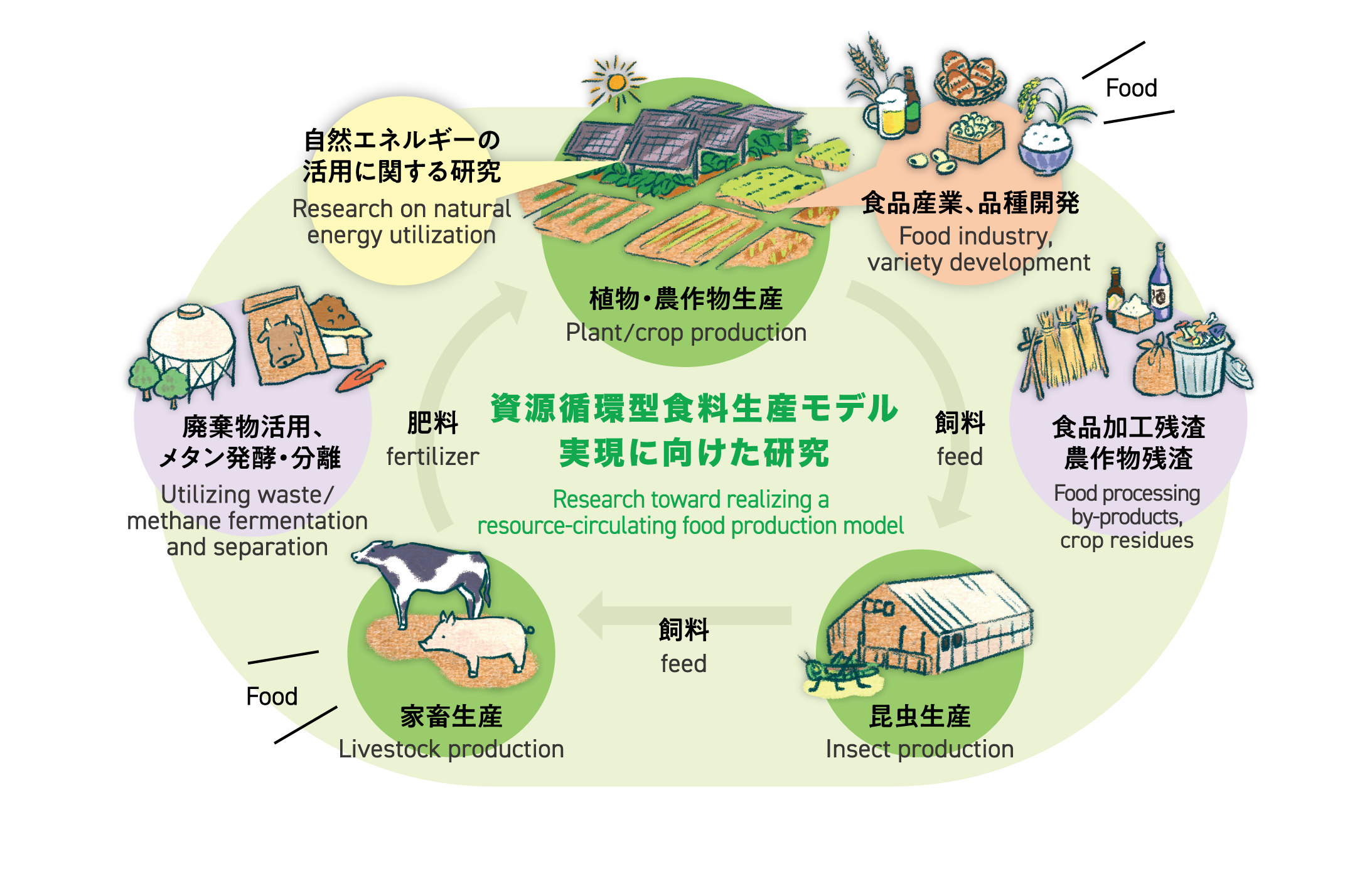 写真：持続可能な食料生産のために