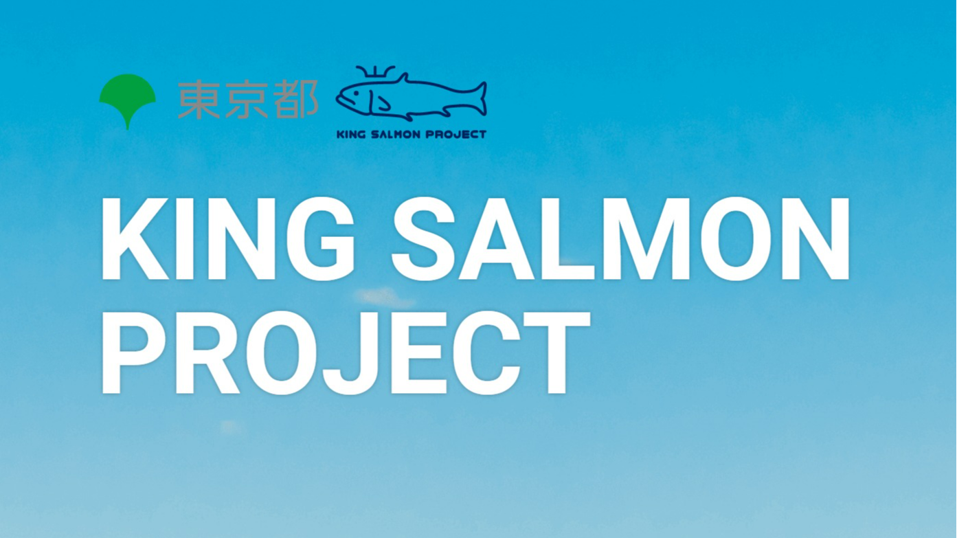 KING SALMON PROJECT